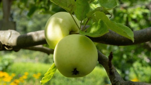 ���� ��������� ������� ������ �������� ���� ������: �������� � ������� � ������