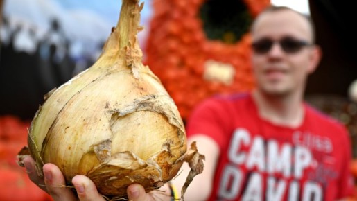 ������� ���� ����� �������� � �����: ������� ������� ������ ��� ������ ���