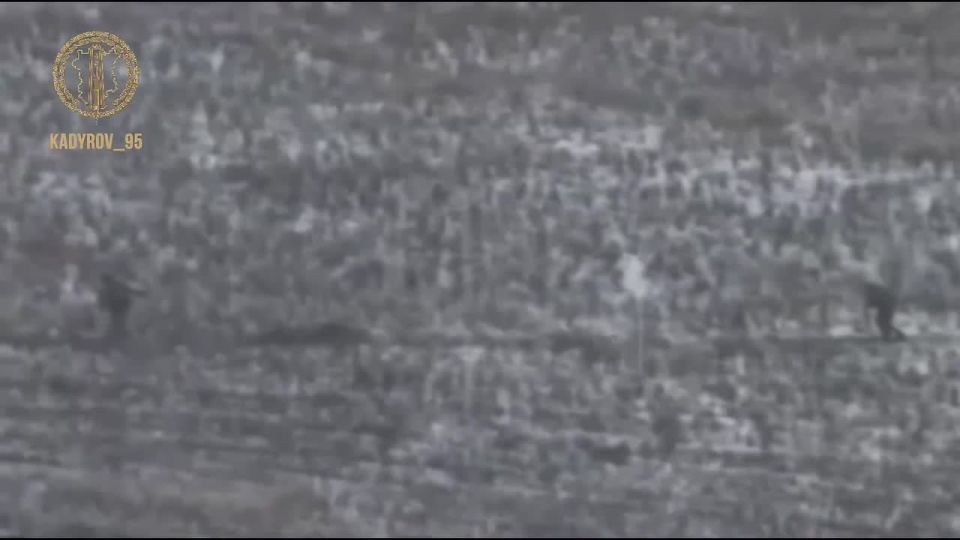 ����� ��������� ���������� ������ ������� ����������� � ���� ��������-������ ����� ������ �������� ������������� �� ������� ��������������, � ���