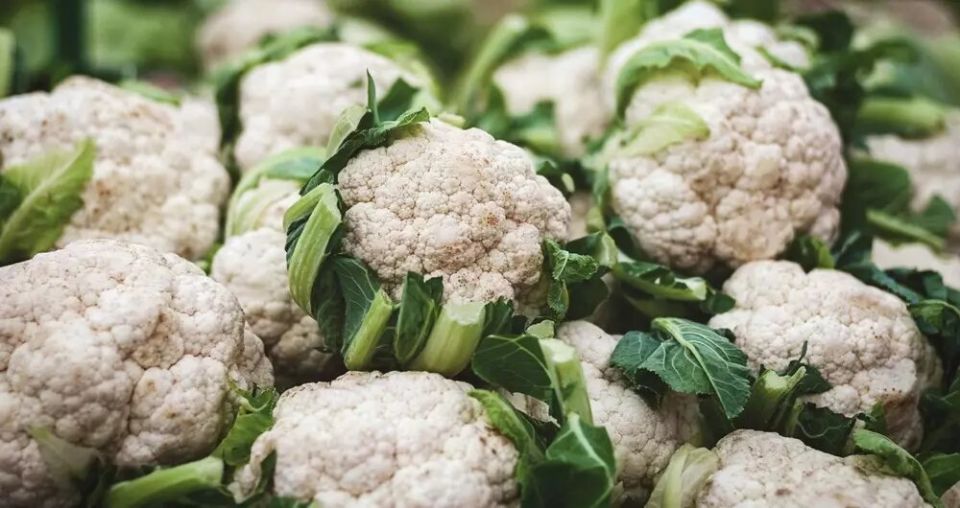 ��� ��������� ������� �������: ��������� ����������� ��� ���������� �����������