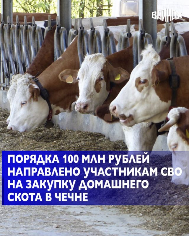 ������� 100 ��� ������ ���������� ���������� ��� �� ������� � ���������� ��������� ����� � ����� ��� ��������� ������������� ������������� ����� ����� ������-����� ��������