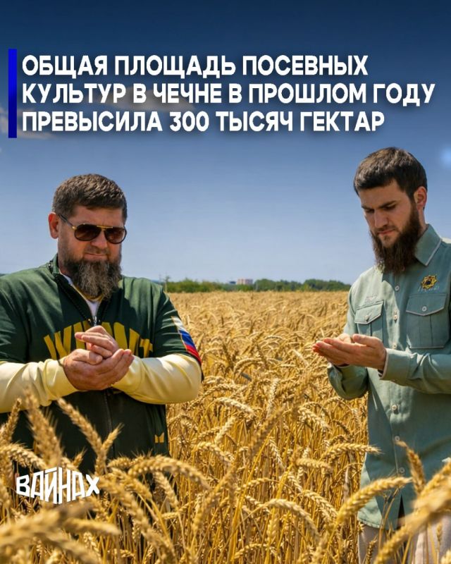 � 2025 ���� ����� �������� ������� �������� ������� � ��������� ���������� ��������� ����� 304 ����� ������