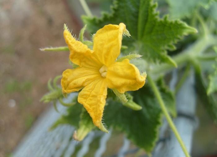 ��� ��������� �������� ������ � ������� ��� �������� ������