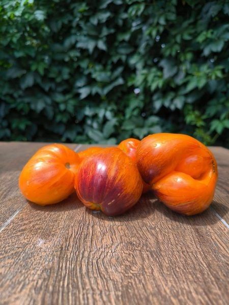 ����� ������ ������ �����: ������������ ���� � ����� ������� ����� � ������ �������