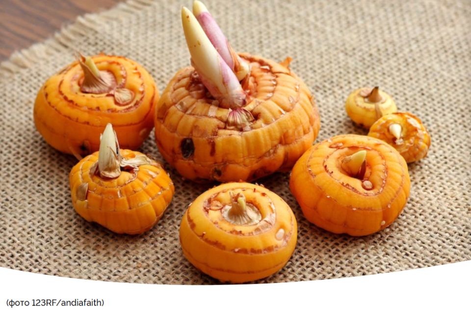 ��� ��������� �������� � ��������� ���������� ������: ������������ �����������