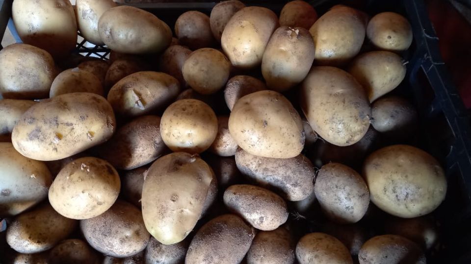 �� ����������� ���� �������: ������ ������������� ������ � ����� ������