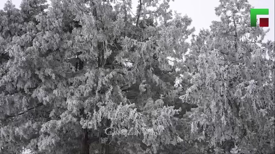 ������ "���� �����" �������� ������� �������: