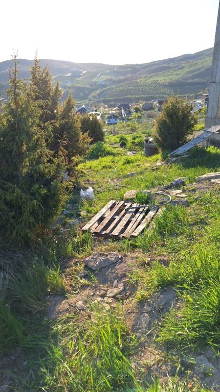 Как создать биогрядки: гармония с природой на вашем участке