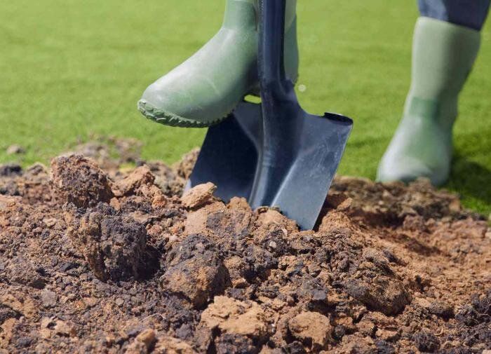 ��� ������� �������� ���: ������ �������� ��� ��������� �����