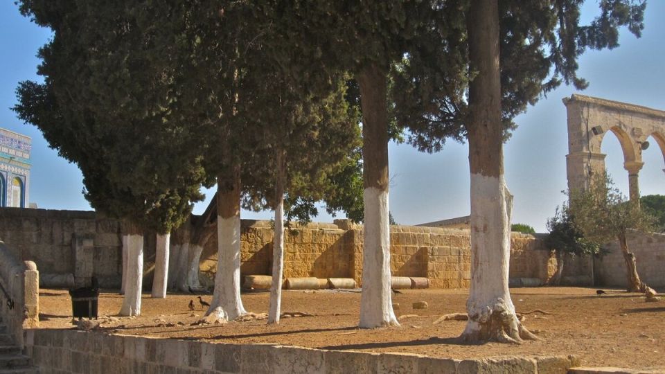 ������� ��������: ������������� ��� �������� ��� �������� �����?