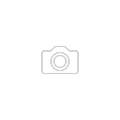 Лучшие долгожители: сортов клубники, которые порадуют урожаем длительное время