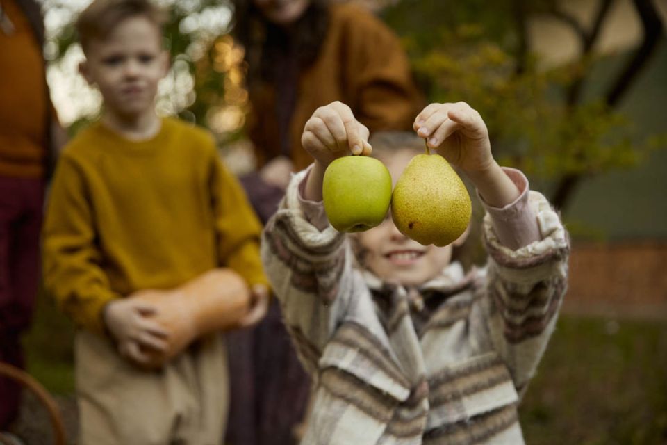 Сентябрьский гид для садоводов и огородников: что нужно сделать