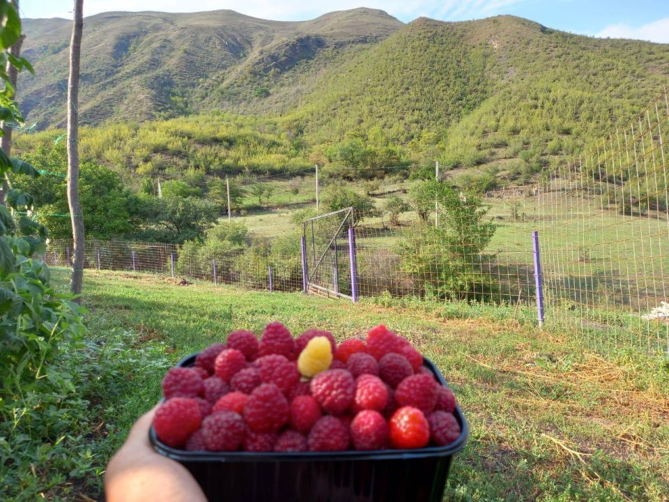 «На земле есть сопредельные участки, виноградные сады, посевы, финиковые пальмы, растущие из одного корня или из разных корней. Их орошают одной водой, но одни из них Мы создаем более вкусными, чем другие. Воистину, в этом... «На земле есть сопредельные участки, виноградные сады, посевы, финиковые пальмы, растущие из одного корня или из разных корней. Их орошают одной водой, но одни из них Мы создаем более вкусными, чем другие. Воистину, в этом...