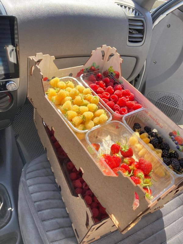 «На земле есть сопредельные участки, виноградные сады, посевы, финиковые пальмы, растущие из одного корня или из разных корней. Их орошают одной водой, но одни из них Мы создаем более вкусными, чем другие. Воистину, в этом... «На земле есть сопредельные участки, виноградные сады, посевы, финиковые пальмы, растущие из одного корня или из разных корней. Их орошают одной водой, но одни из них Мы создаем более вкусными, чем другие. Воистину, в этом...