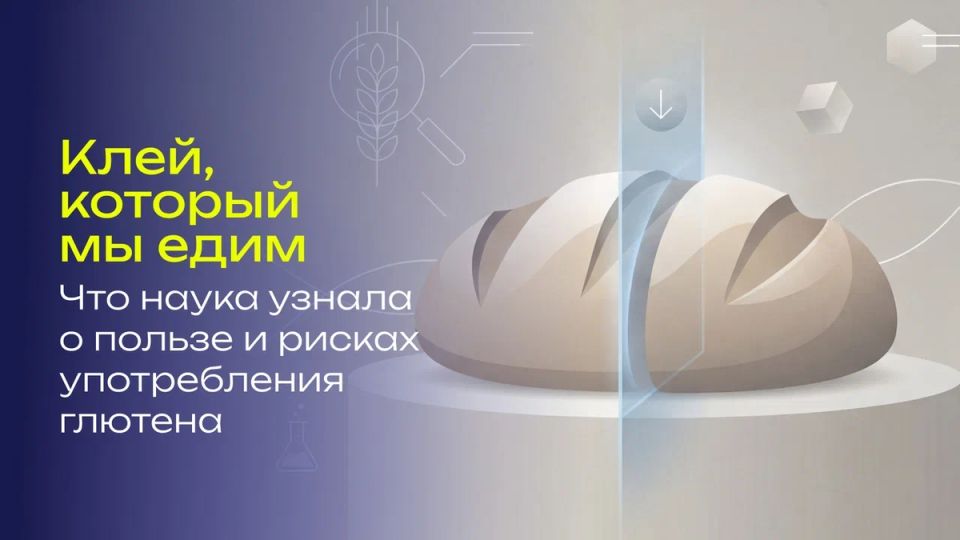 Глютен без мифов: остается ли он врагом нашего рациона?