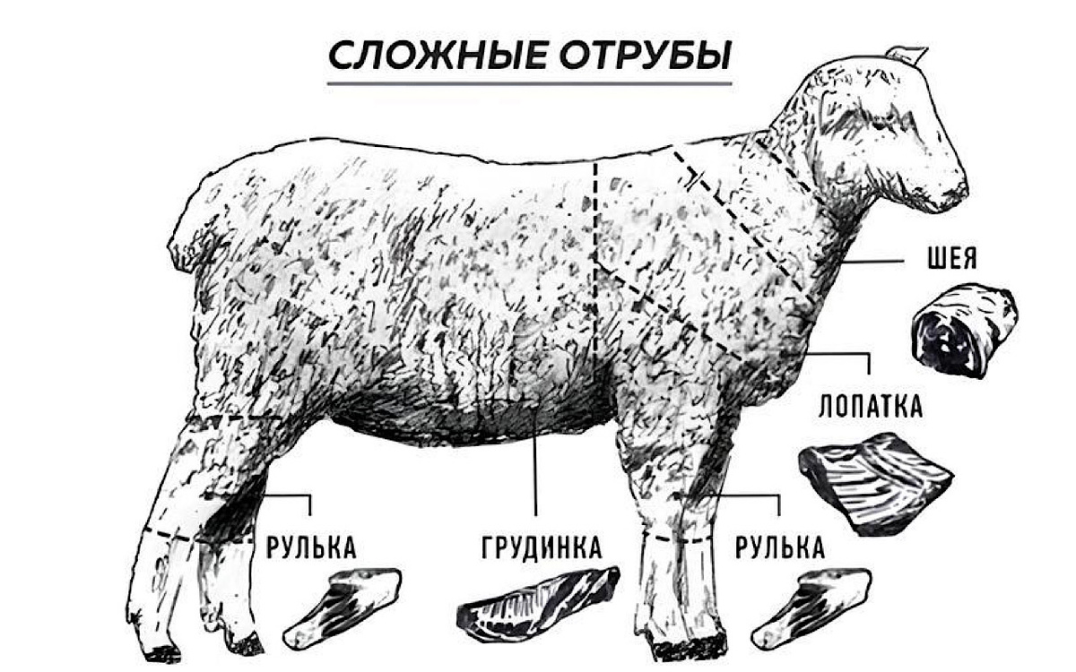 Как правильно выбрать баранину: секреты от экспертов