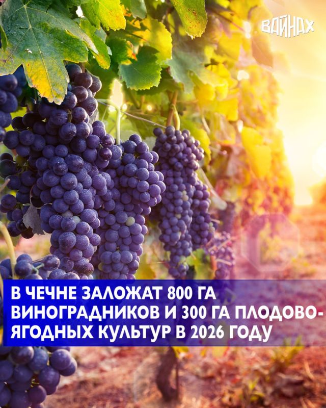 �� ���� � ����� ��������-������ ������� ������������ ������������� �� ������� ������ �� ������ ��������� �� �������� �������� ��������� ���������, ���������� ��������������� ���������� � ������������������