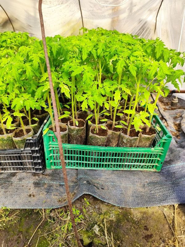 ��� ��������� ������ �������� ������ ���� ���� �������