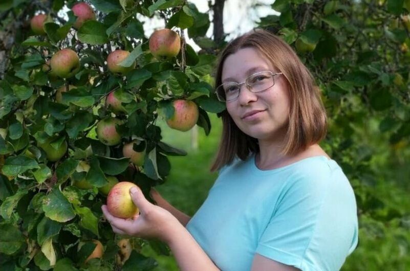 Как защитить яблони от вредителей в летние месяцы
