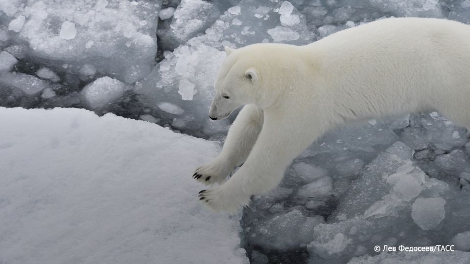 ���������� ������� ���� � ������� �������� � ����, ��� ����� ������� ������ ������� �� ��������� �� 300 � ����� ����������