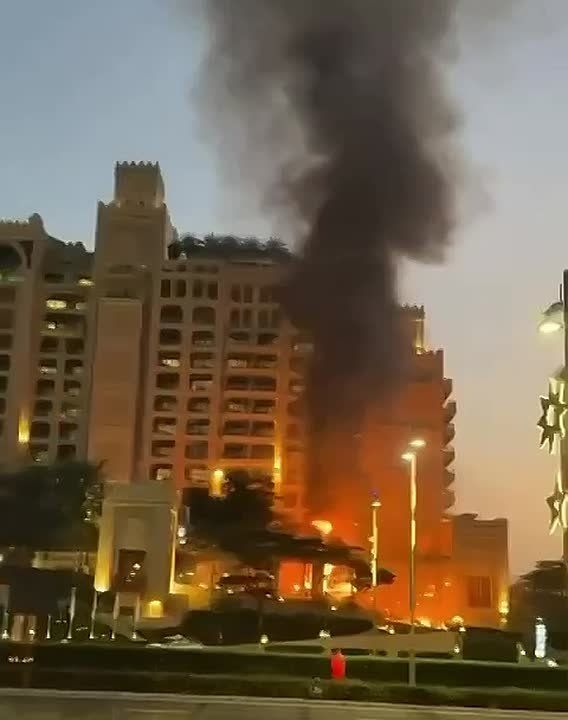 �� ����� ����� Palm Jumeirah � ����� ����� ������� ������, ������� �����, �������� ��� �������