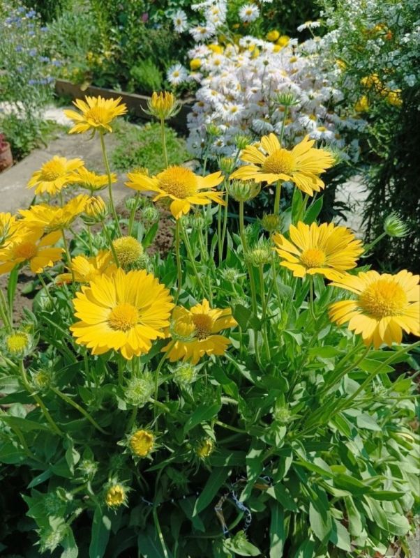 ���������: ��������� ������ ��� ������ ����