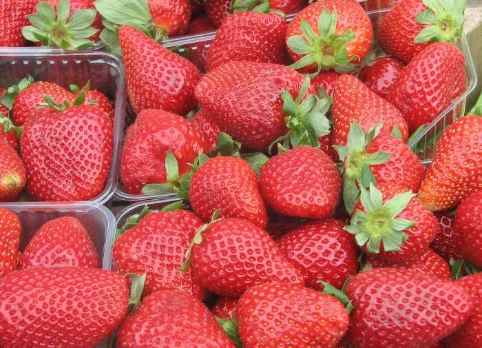 ����� ����� ��������: �������� ���� ��� ��������� ������ � ��������� ������