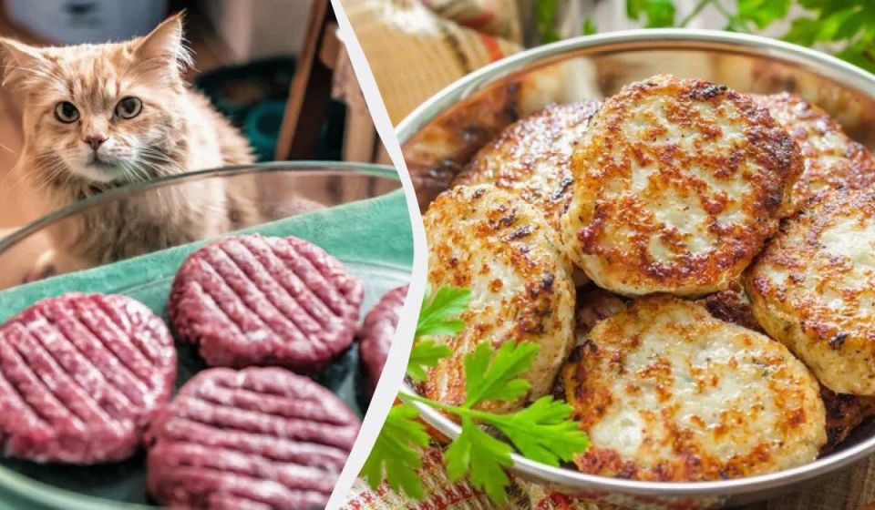 ��� ��������� ����� ������: ������� ������� ��� �������� �����