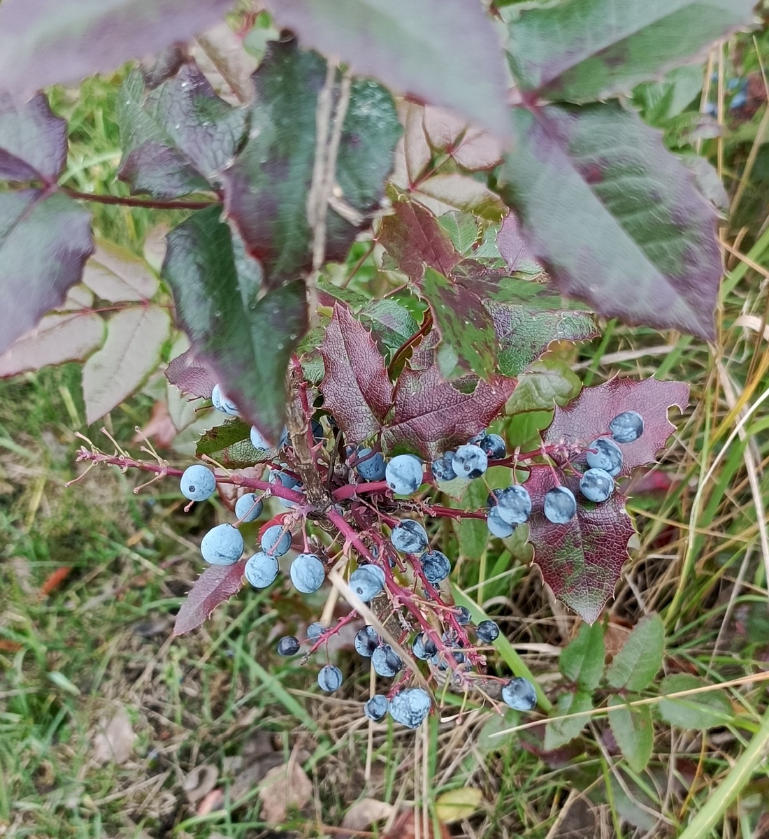 Как провести день на рынке и порадовать близких