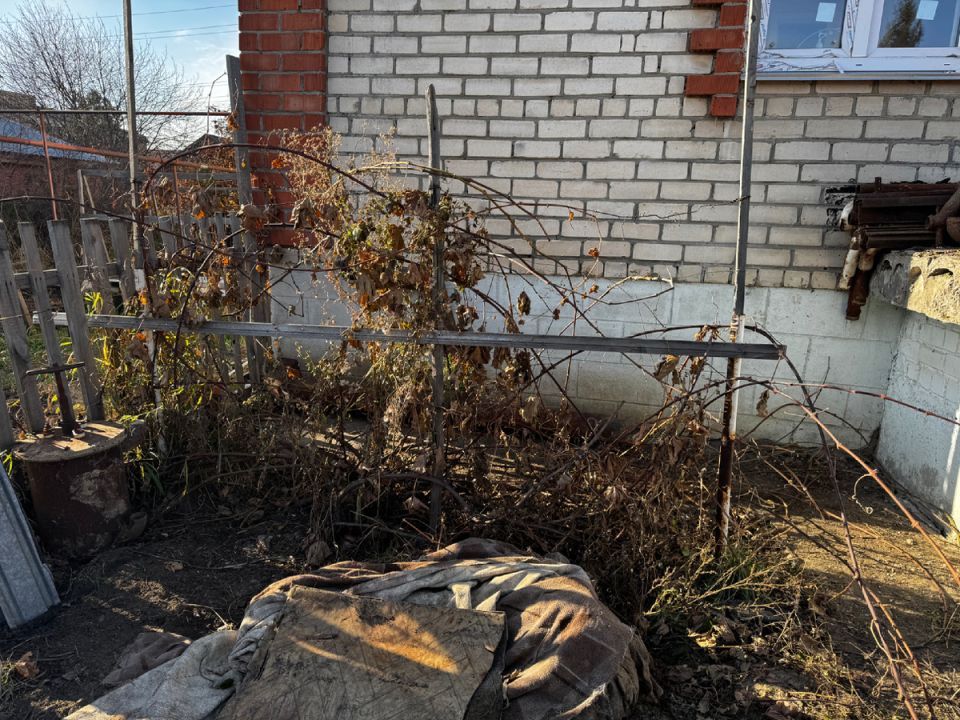 ��� ������� ������� �� �������: ��������� � ������� ������ �����