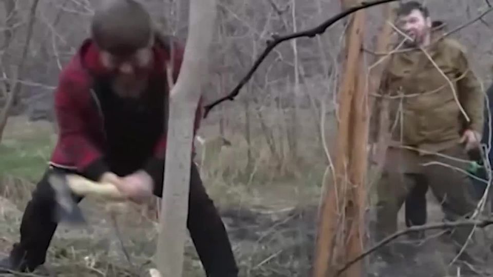 ������� ������: ������! ������� �������������� ���� � 19-� ��������� �� ��� ����������� ����� �������� ����� ������� ���������� �������� � ��������� ���������� ��������� ����������