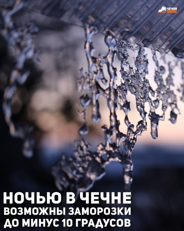 � ����� 5 ����� ��������� �������� ������ � ������������, �������� � ������������ ���������� ��� ������