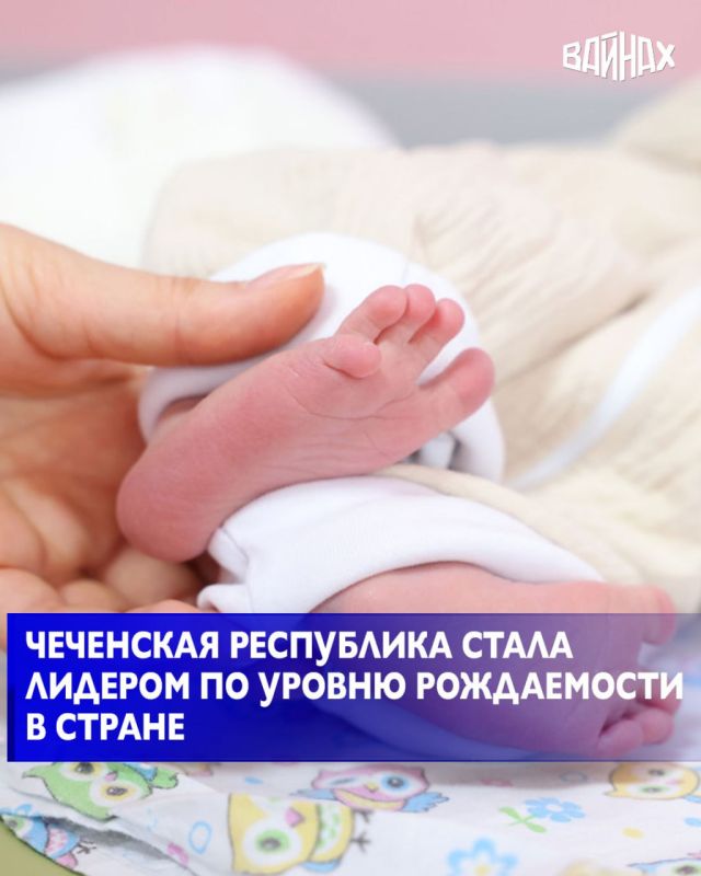 Об этом сообщил академик РАН, заместитель президента Российской академии образования Геннадий Онищенко