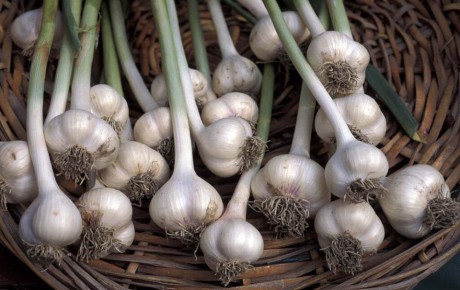 ��� ��������� ������� ������ ��� ������������ ������