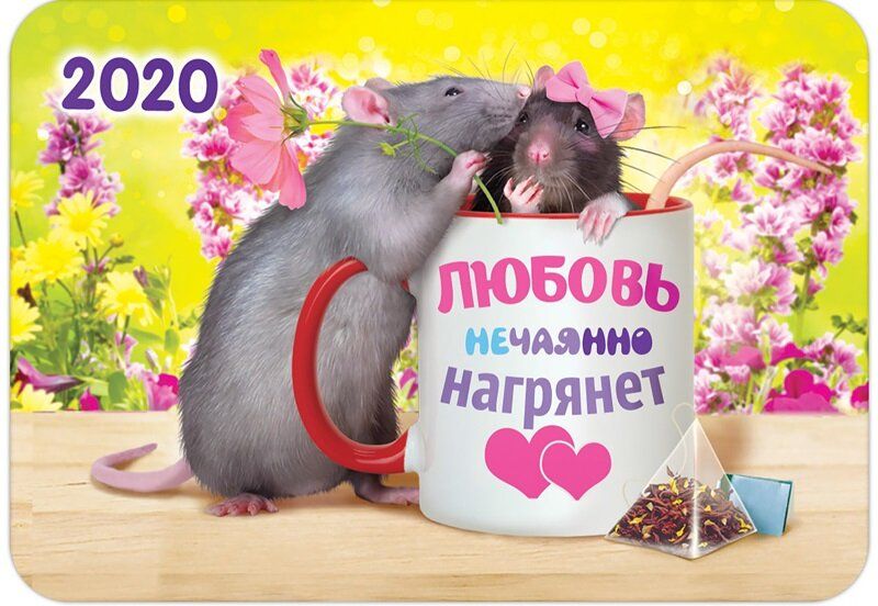 От долговой книжки до современного календаря: история и современность