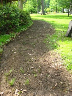 ������� ������� ������� �� ���������: ��� �� �����