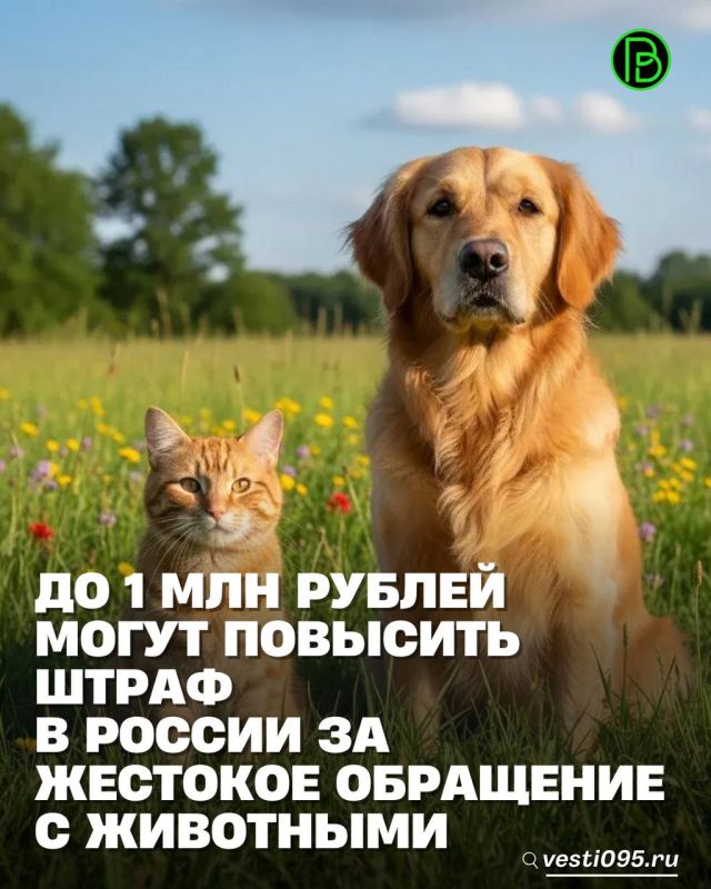 �������������� ������ �� ���� �� ���� ��� � ��������� ������ �� 1 ��� ������ �� �������� ��������� � ��������� ����� ������ � ������