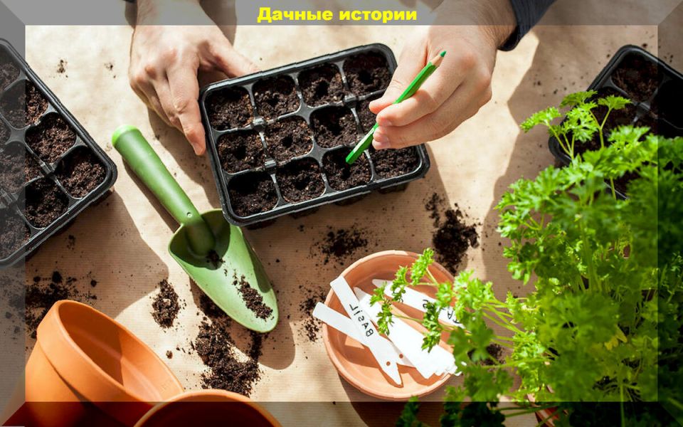 ���� �� ��������: �������� ������� ��� ��������� �����