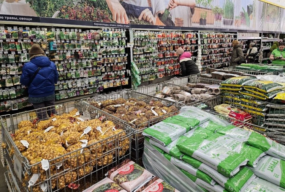 ������ ������ ������: ��������� ����������� ����