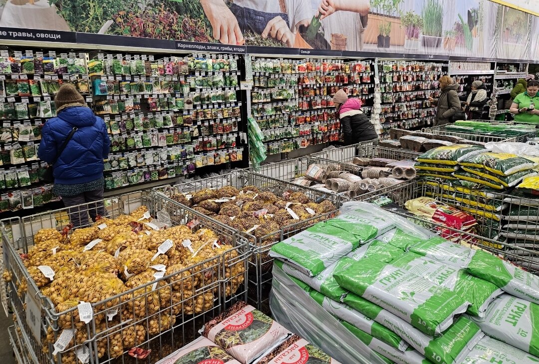 Семена нового сезона: тщательно подобранный риск