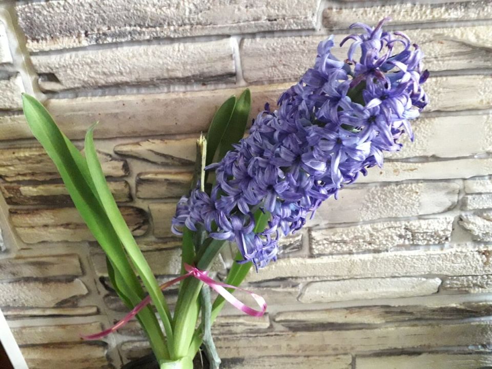 ������� ����� �� ����������: ��� ��������� ����� ����� ���������