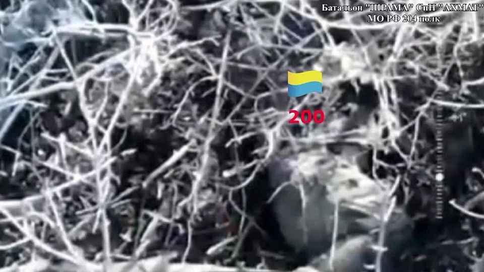 Батальон «Шрам» спецназа «АХМАТ» уничтожил укрытие с живой силой ВСУ под Северском