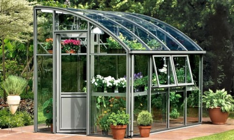 ��� ����� ����� � ������� �� �������