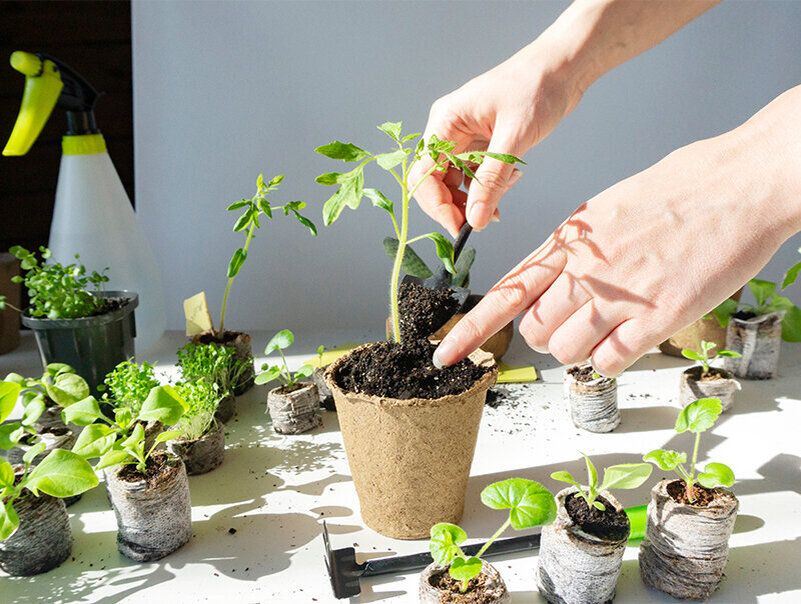 �����: ��� ��������� �������� ������ ��� ������ ��������