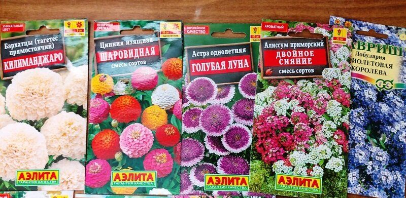 ���� ��� ������ ������ �� ������� � ������