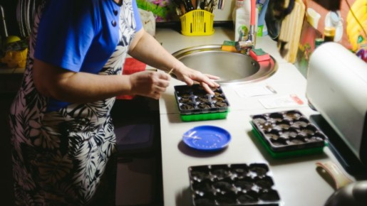 ��� ������ �������� ������ �������� �����: ����� �����, ������� ������� ��� ������