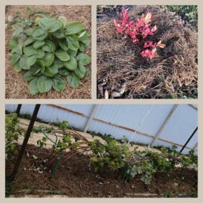 ��� ����������� ��� � ����: ������ ������ ��� ������ ��������