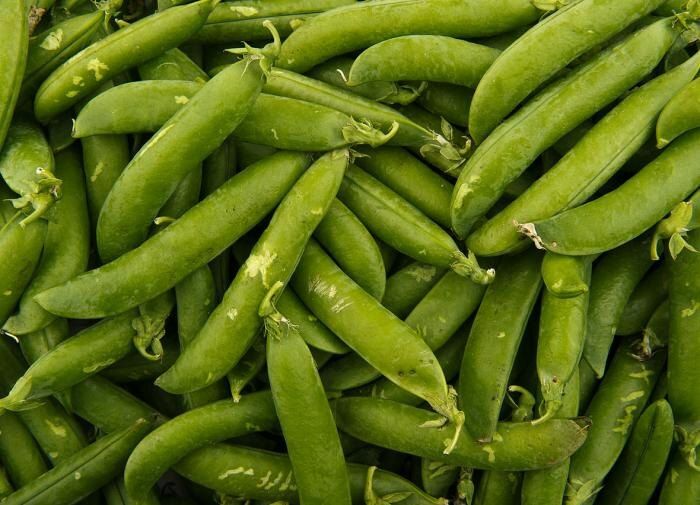 ��� ��������� �������� ������ �� ����: ��� ���������� ������� ���������