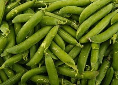 ��� ��������� �������� ������ �� ����: ��� ���������� ������� ���������