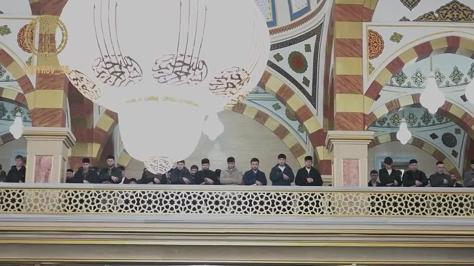 ���� ����������: ������ � ������� ������, ������ ��������� ����������, ������ ������ �������� ����������� ��������� � ���������� �������� �� ������� ��������� ����������� ��-�����